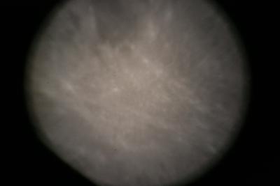 img_7359.jpg
